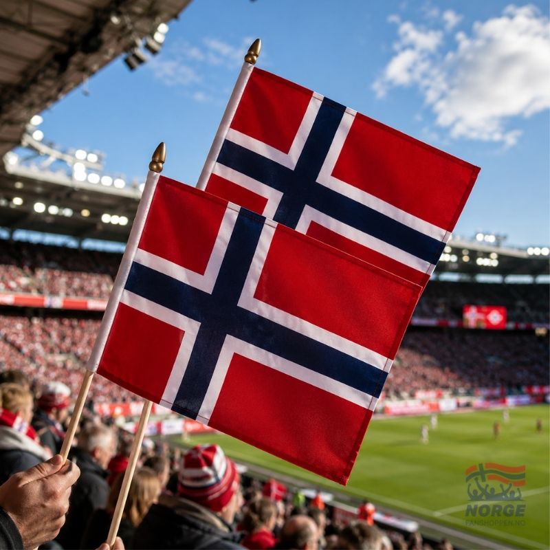 Norgeflagg 20x30 cm med pinne