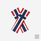Fanshoppen Norge pair of arm sleeves featuring the Norwegian flag design in red, white, and blue. Elasticated cuffs.